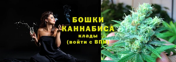 стаф Елабуга