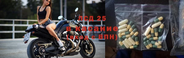 стаф Елабуга