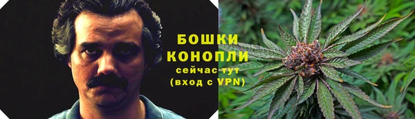 стаф Елабуга