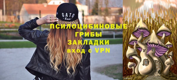дурь Елизово