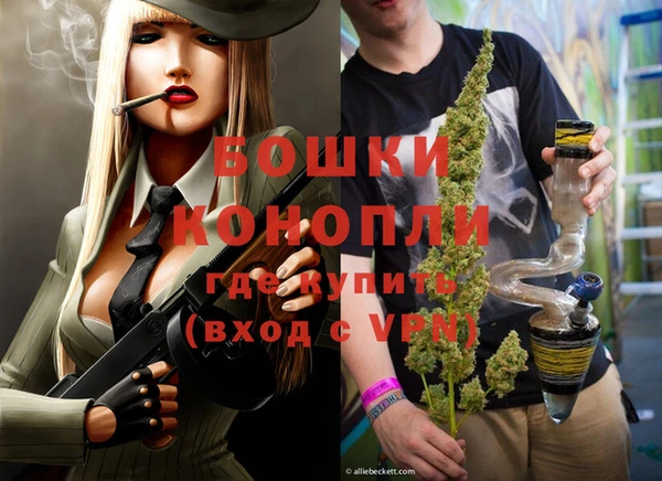 стаф Елабуга