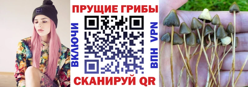 где купить hydra tor Галлюциногенные грибы GOLDEN TEACHER Слюдянка